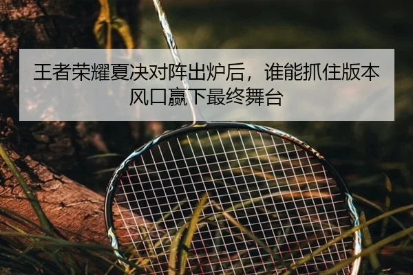 王者荣耀夏决对阵出炉后，谁能抓住版本风口赢下最终舞台